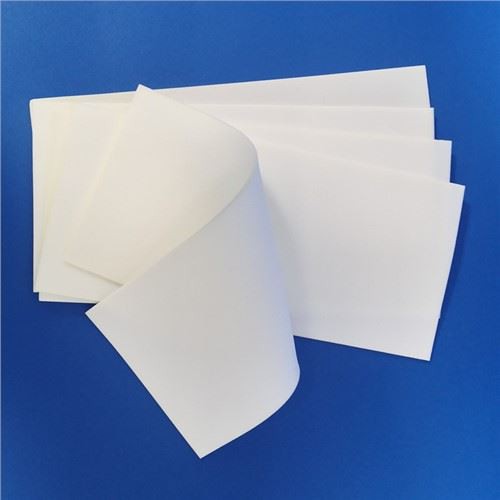 Renrumssvampservetter